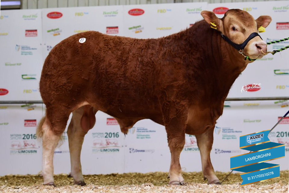 LIMOUSIN